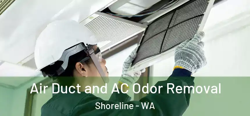 Air Duct and AC Odor Removal Shoreline - WA