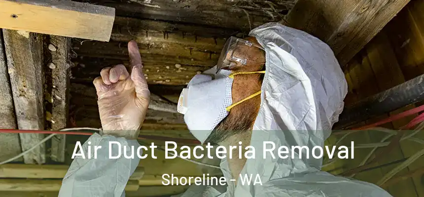  Air Duct Bacteria Removal Shoreline - WA