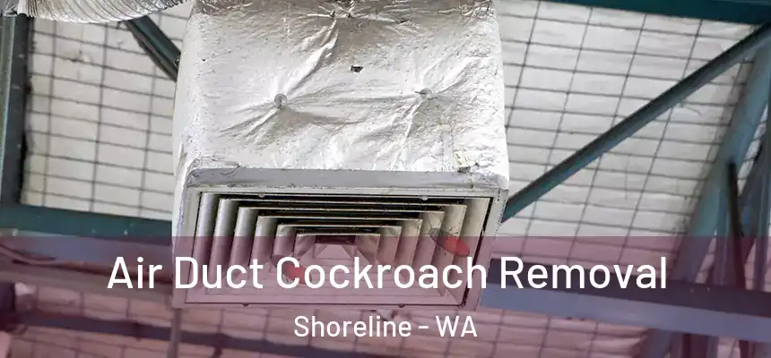Air Duct Cockroach Removal Shoreline - WA