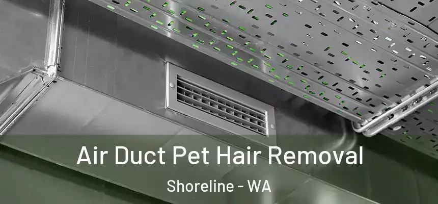 Air Duct Pet Hair Removal Shoreline - WA