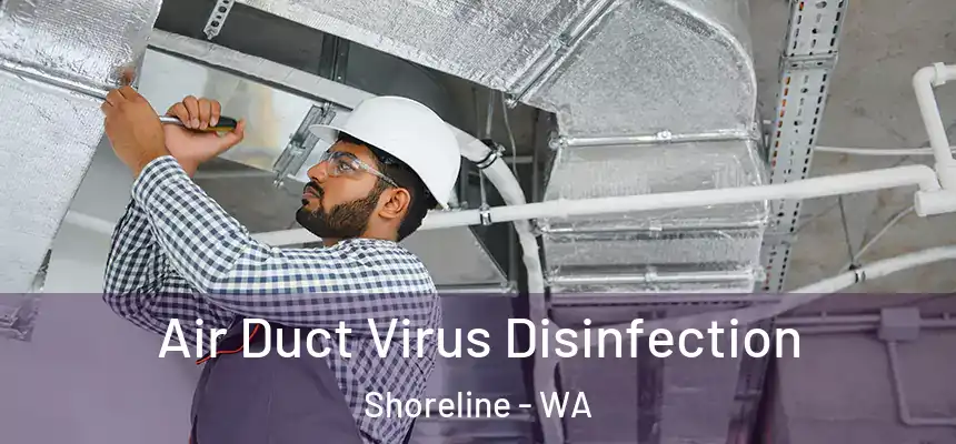 Air Duct Virus Disinfection Shoreline - WA