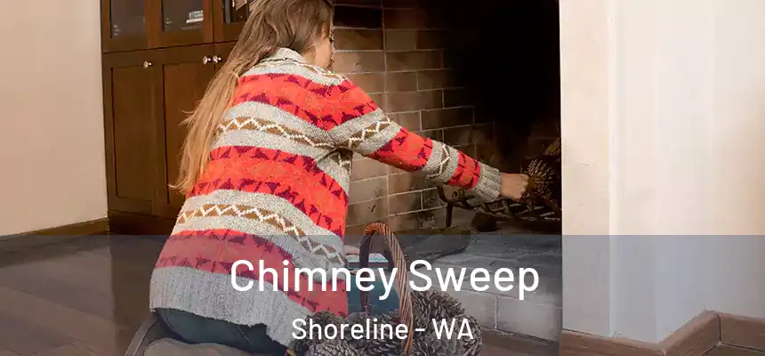 Chimney Sweep Shoreline - WA
