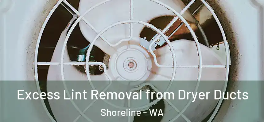 Excess Lint Removal from Dryer Ducts Shoreline - WA