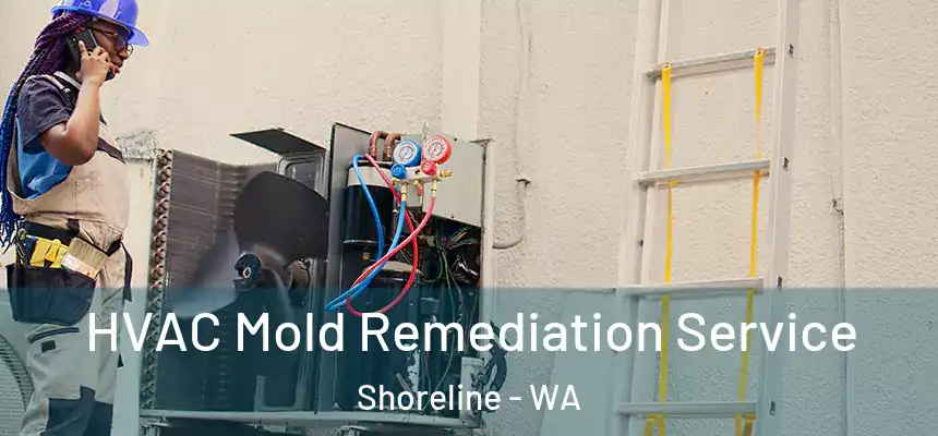  HVAC Mold Remediation Service Shoreline - WA