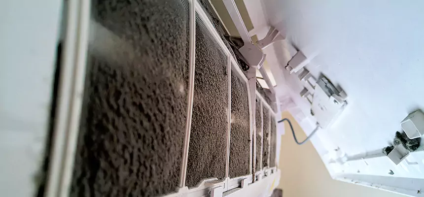 Preventive Air Duct Bacteria Removal in Shoreline