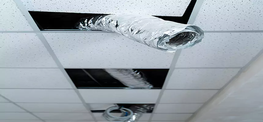 Affordable HVAC Sanitizing After Pest Removal in Shoreline