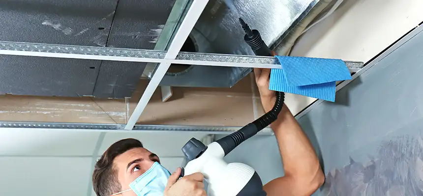 Our Air Duct Rodent Removal Services in Shoreline, WA