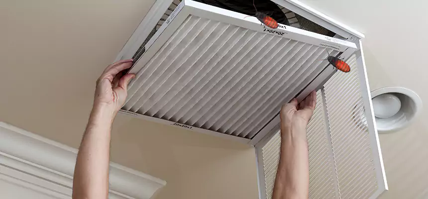 Our Insect Removal from Air Ducts Services in Shoreline, WA