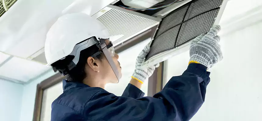 Our Mold & Mildew Removal from Air Ducts Services in Shoreline, WA