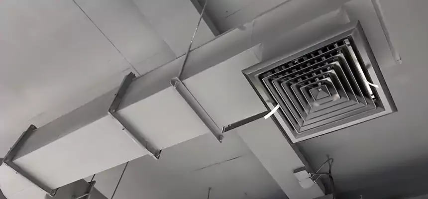 Our Pest Removal From Ducts Services in Shoreline, WA