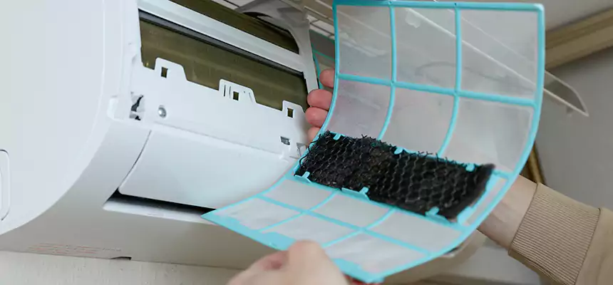 Gentle Ductwork Odor-Control Pet Dander Duct Cleaning in Shoreline, WA