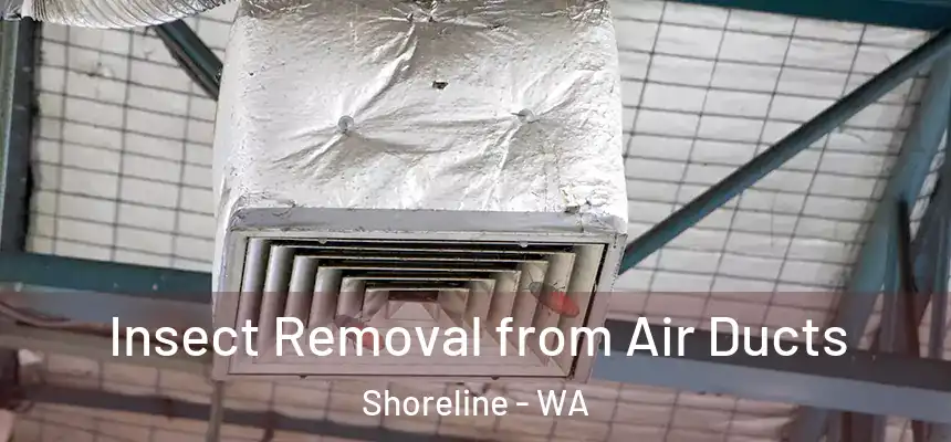  Insect Removal from Air Ducts Shoreline - WA