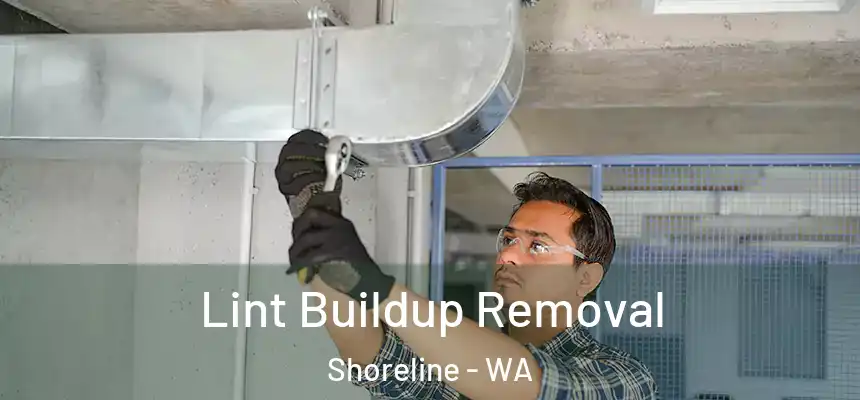  Lint Buildup Removal Shoreline - WA