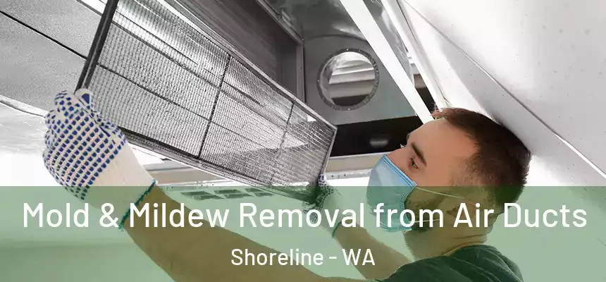  Mold & Mildew Removal from Air Ducts Shoreline - WA