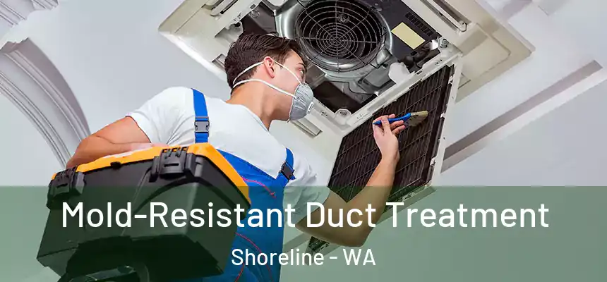  Mold-Resistant Duct Treatment Shoreline - WA