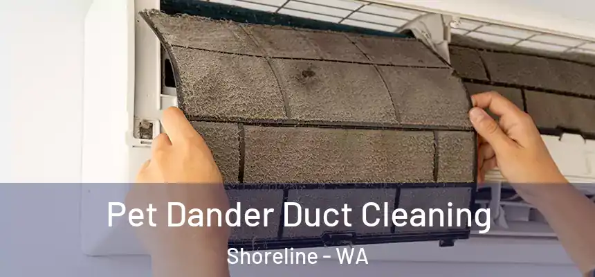  Pet Dander Duct Cleaning Shoreline - WA