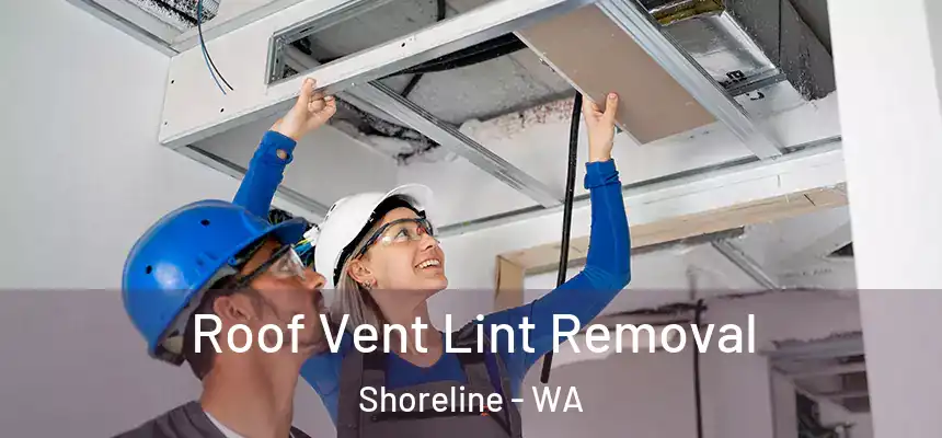  Roof Vent Lint Removal Shoreline - WA