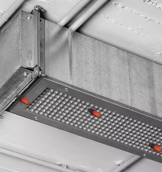 About Air Duct Cockroach Removal in Shoreline, WA