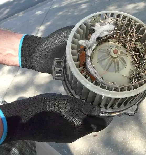 About Air Duct Rat Removal in Shoreline, WA