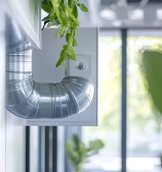 Professional Eco-Safe Dryer Vent Cleaning in Shoreline, WA