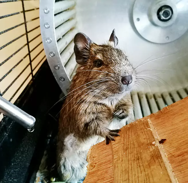 Why Homeowners & Businesses Trust Us Shoreline, WA?