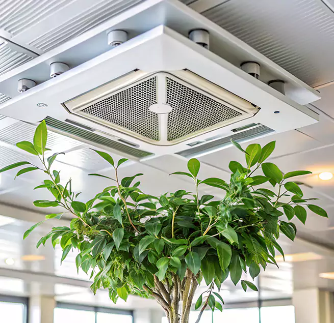 Why Homeowners & Businesses Trust Us in Shoreline, WA?