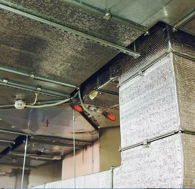 Why Homeowners & Businesses Trust Us Shoreline, WA?