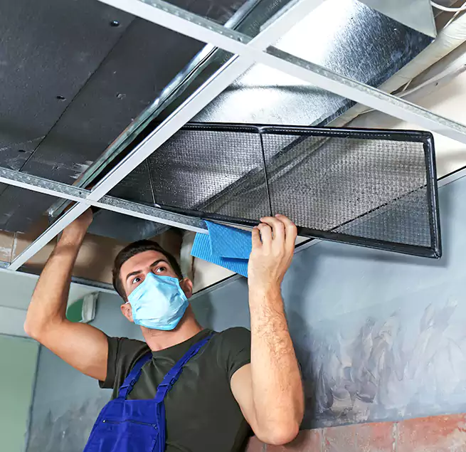 Why Homeowners Businesses Trust Us in Shoreline, WA