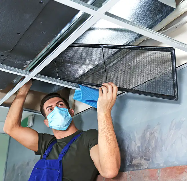 Why Homeowners & Businesses Trust Us in Shoreline, WA?