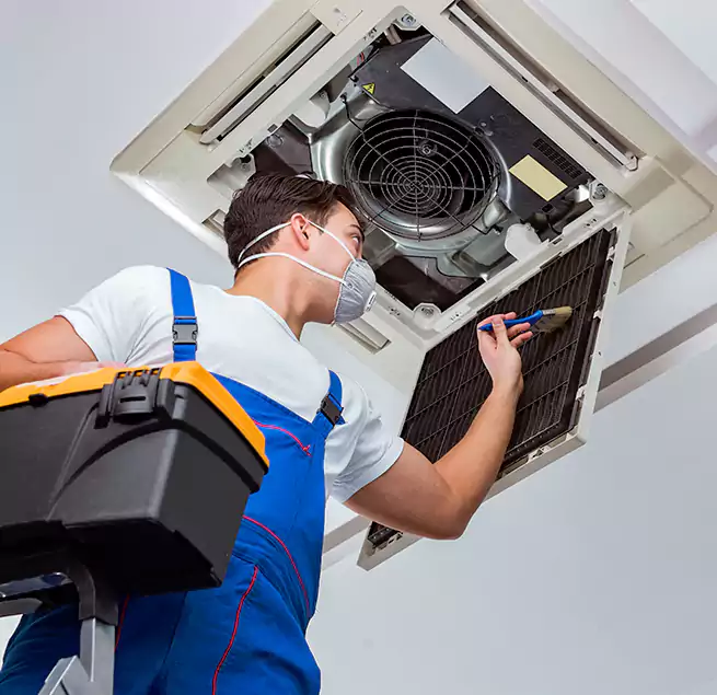 Why Homeowners & Businesses Trust Us in Shoreline, WA?